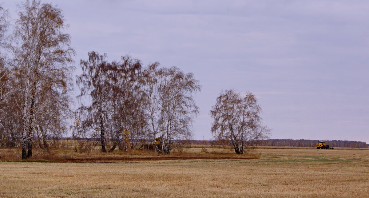 Зяблевая обработка почвы. - сергей ермошкин Зяблевая обработка почвы. - сергей ермошкин