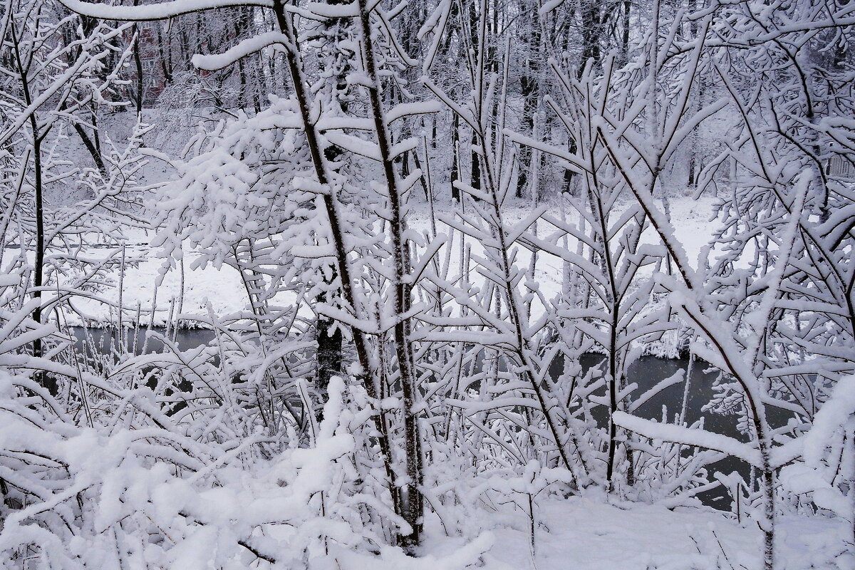 Зимние картинки - Рита Симонова