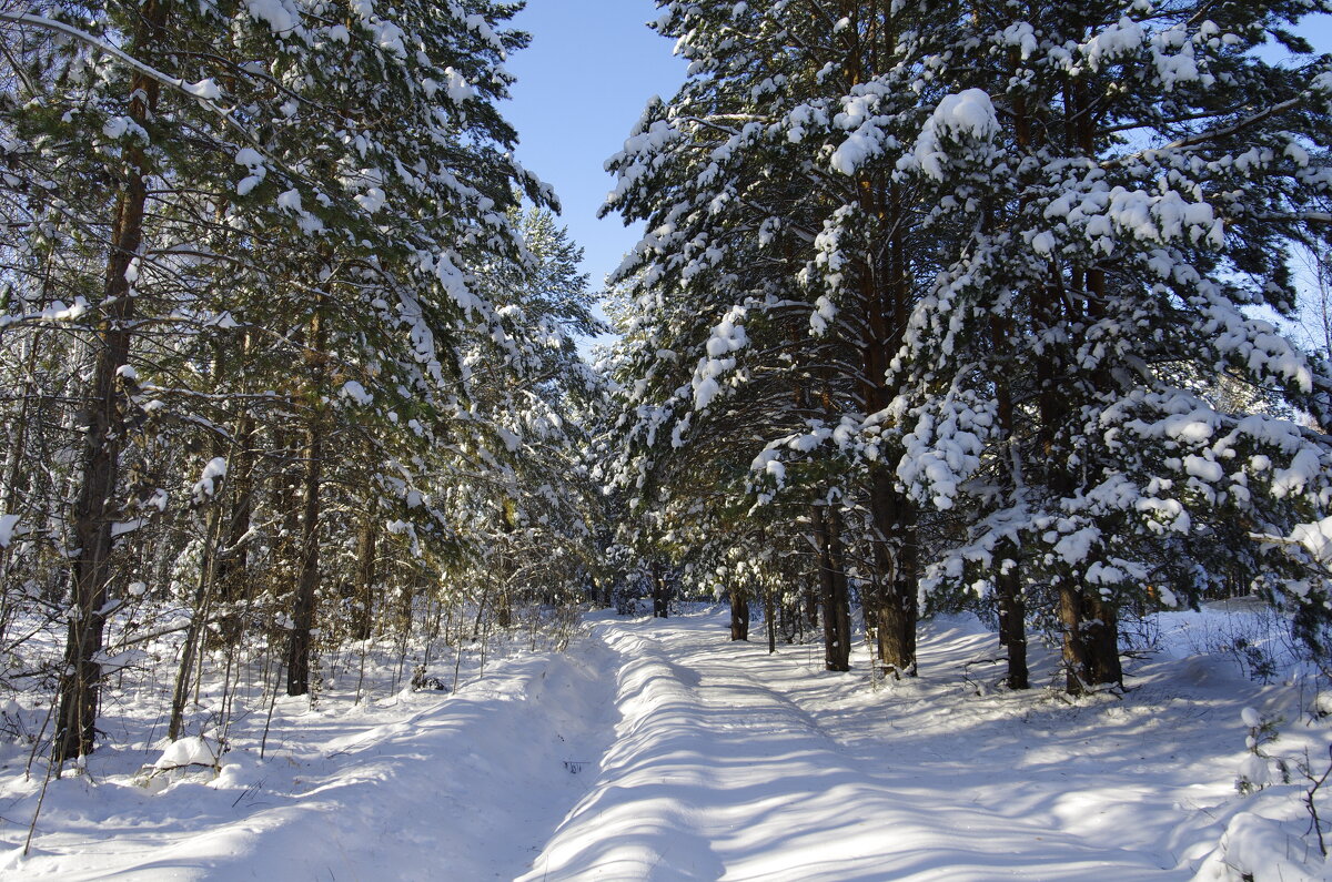 Зимний пейзаж - Сергей Швечков Зимний пейзаж - Сергей Швечков
