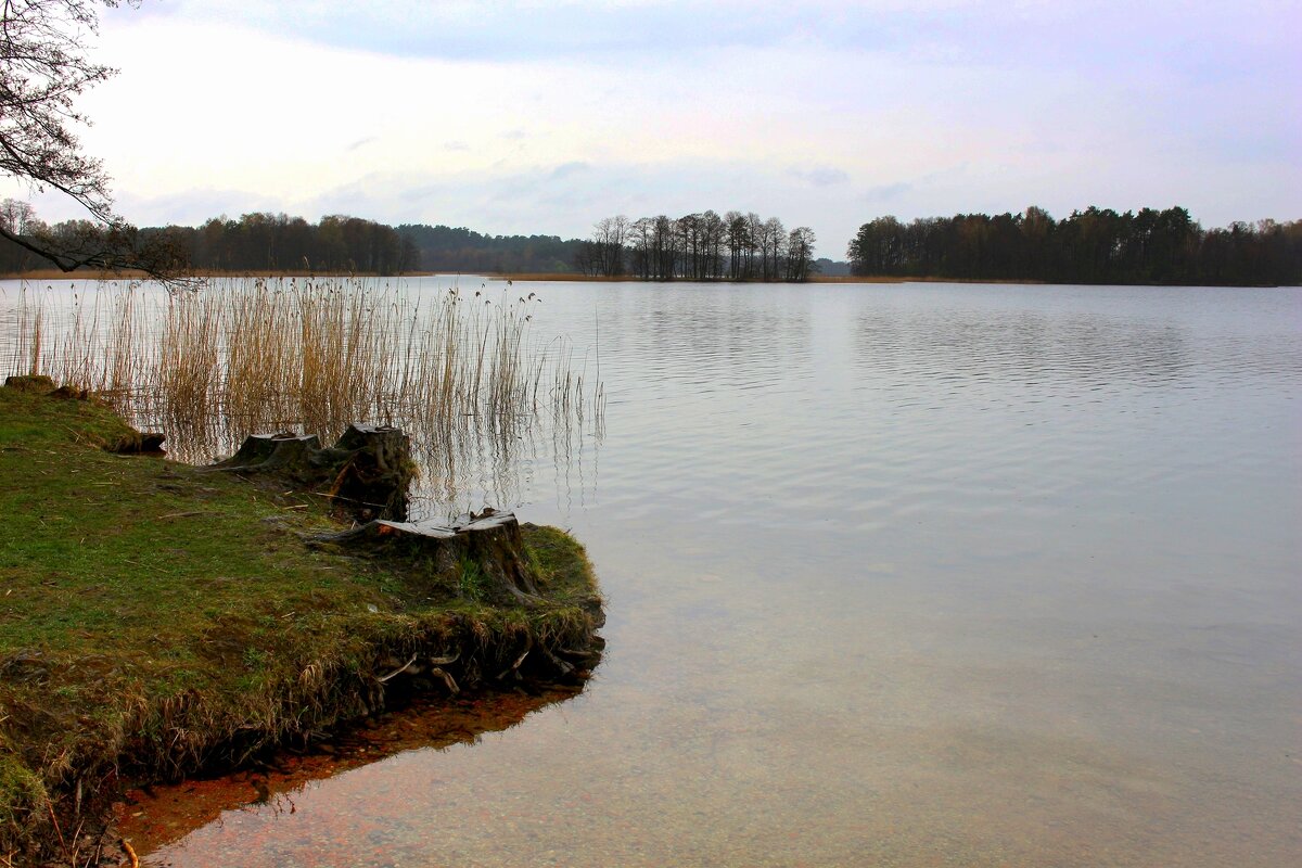Апрель - Юрий. Шмаков Апрель - Юрий. Шмаков