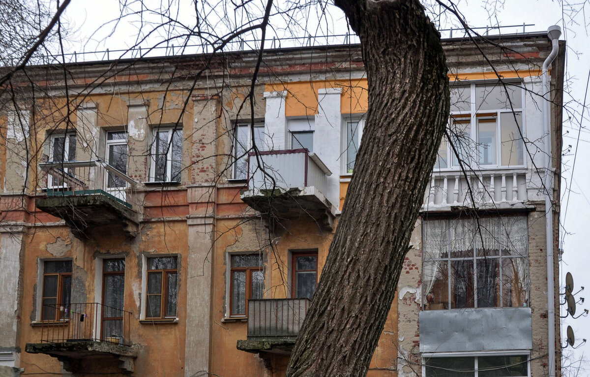 Старые окна старого дома - Татьяна Машошина Старые окна старого дома - Татьяна Машошина