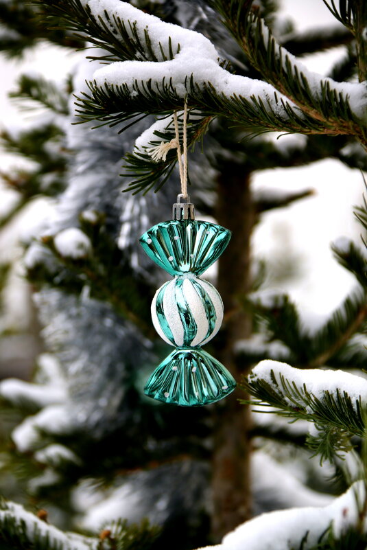 ** - Vlad Сергиевич ** - Vlad Сергиевич