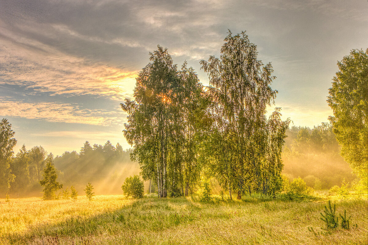 Вышло солнце из-за тучи - Юрий Спасенников Вышло солнце из-за тучи - Юрий Спасенников