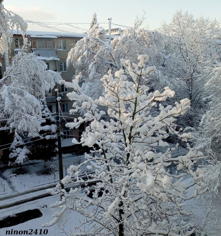 Ростовская зима - Нина Бутко