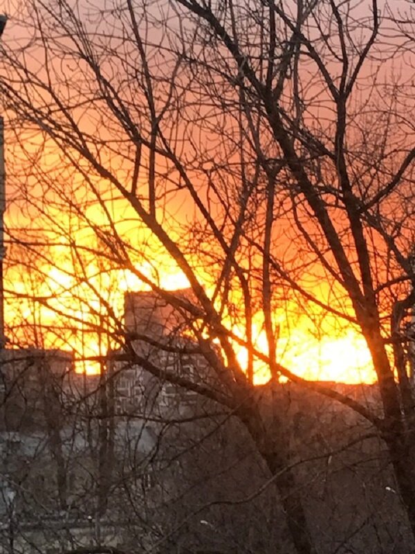 Февраль. "Пожар" небесный... - Татьяна Юрасова