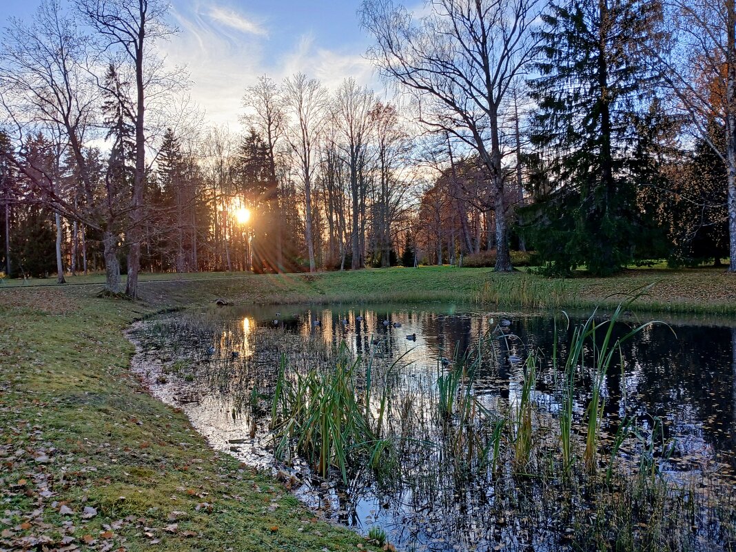 Поздняя осень, закат. - Лия ☼ Поздняя осень, закат. - Лия ☼