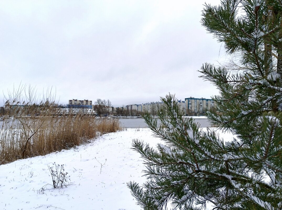 Февральские зарисовки - Мария Васильева