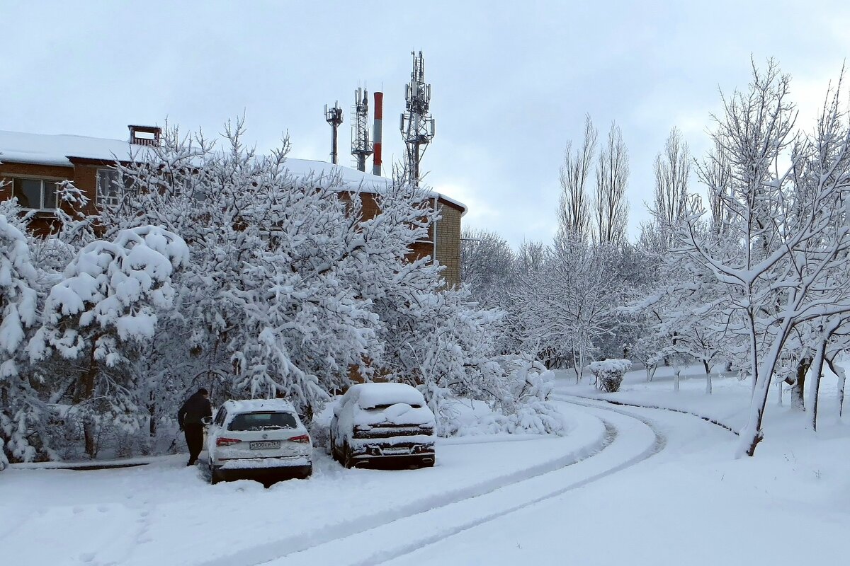 Сегодня утром в Аксае снег - Татьяна Смоляниченко Сегодня утром в Аксае снег - Татьяна Смоляниченко