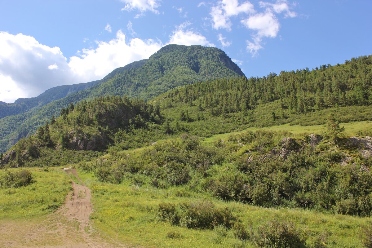 Малонаселенное место - Владимир Соколов (svladmir)