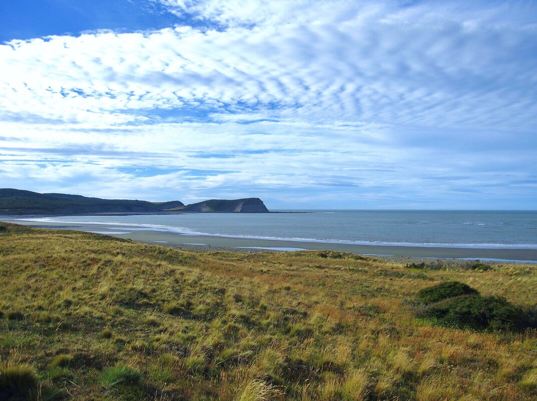 На Огненной Земле, Аргентина. - unix (Илья Утропов) На Огненной Земле, Аргентина. - unix (Илья Утропов)