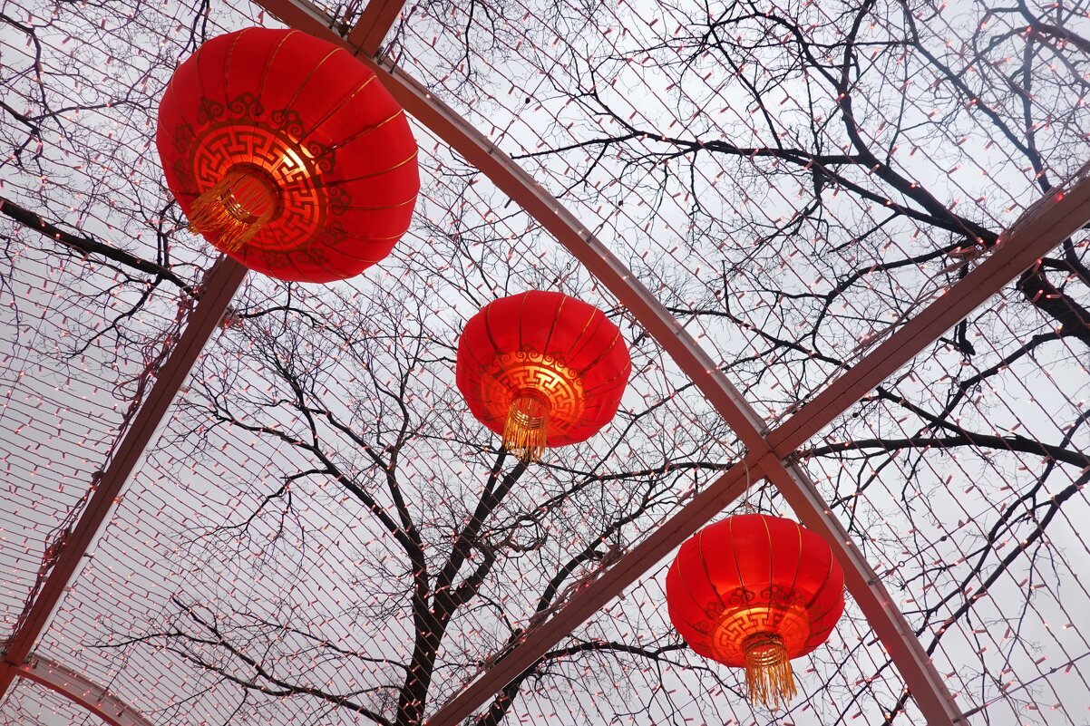 Повсюду красные фонарики. - Татьяна Помогалова Повсюду красные фонарики. - Татьяна Помогалова