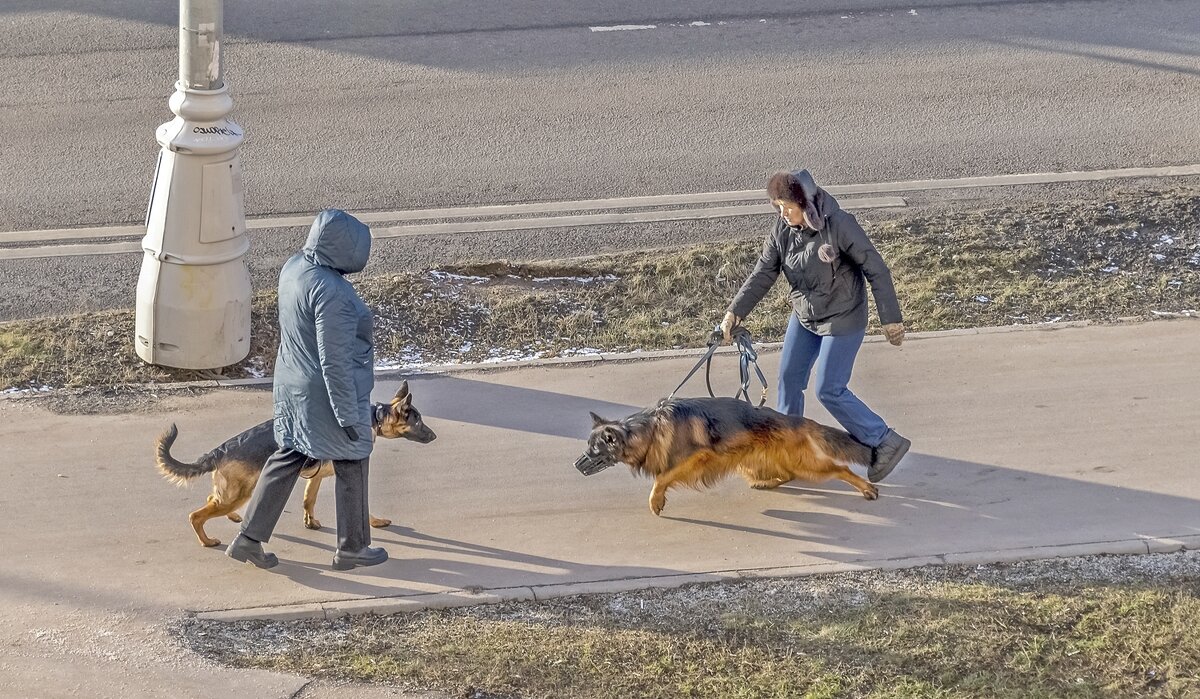 Разрешите с вами познакомиться? - Валерий Иванович Разрешите с вами познакомиться? - Валерий Иванович