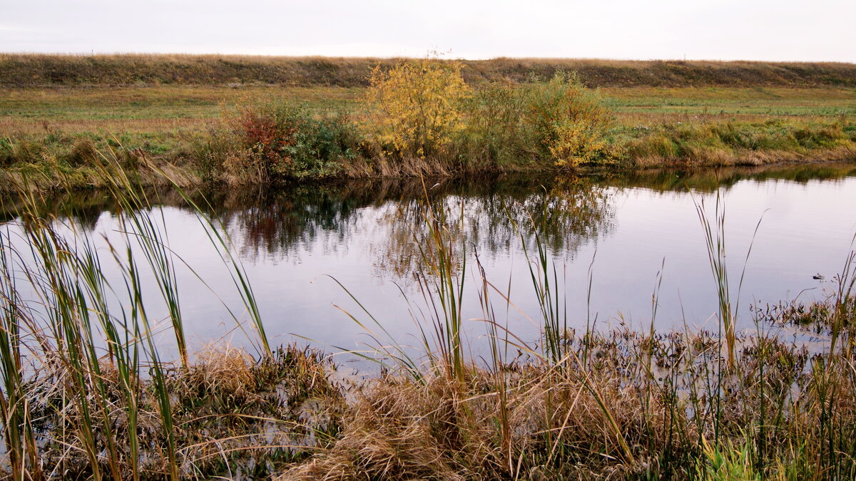 Осенний водоем. - сергей ермошкин Осенний водоем. - сергей ермошкин
