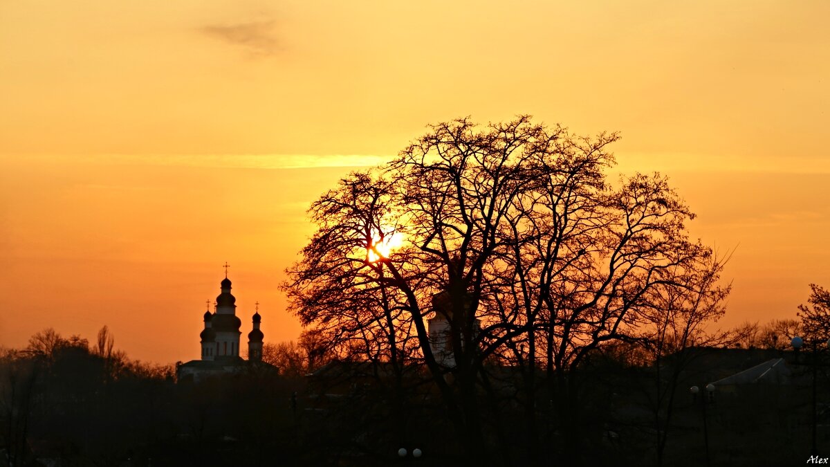 3717 - Alex . 3717 - Alex .