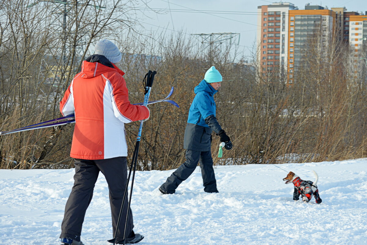 Сибирские прогулки - Татьяна Лютаева Сибирские прогулки - Татьяна Лютаева