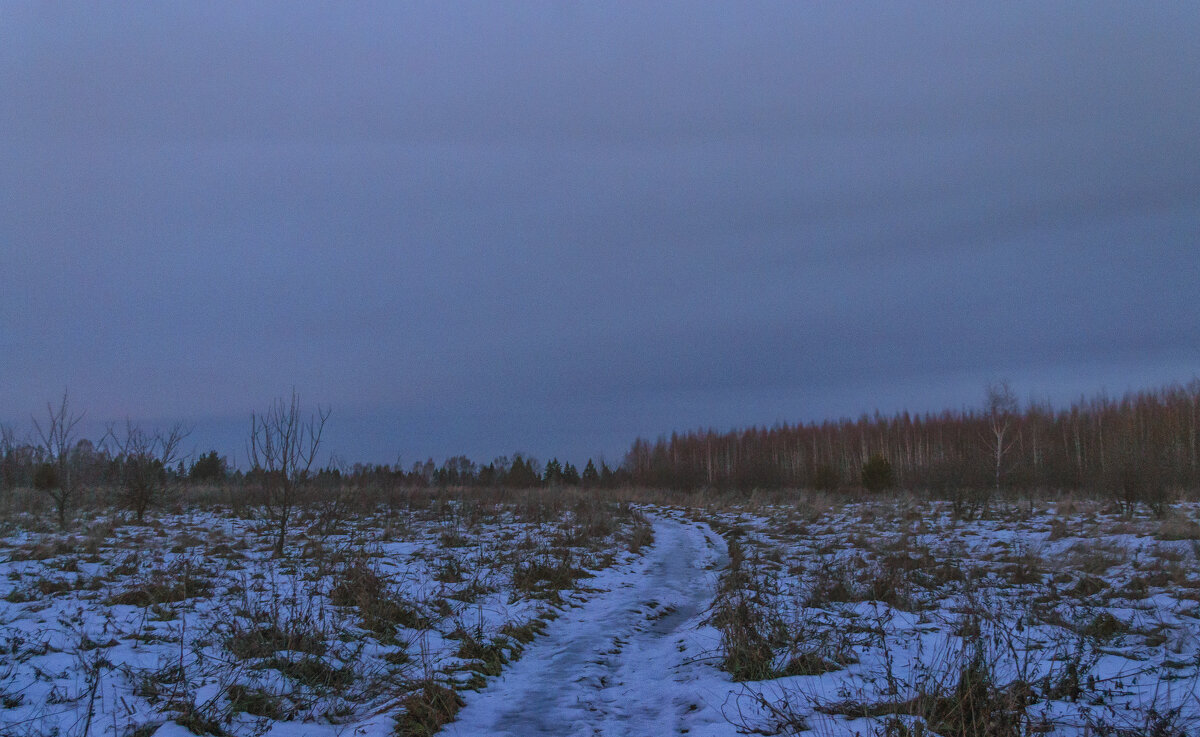 Сумерки! - Сергей Цветков Сумерки! - Сергей Цветков