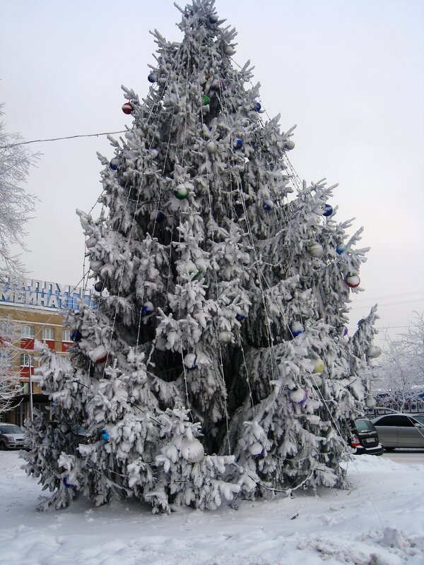 ,,, - Сергей Тимоновский ,,, - Сергей Тимоновский
