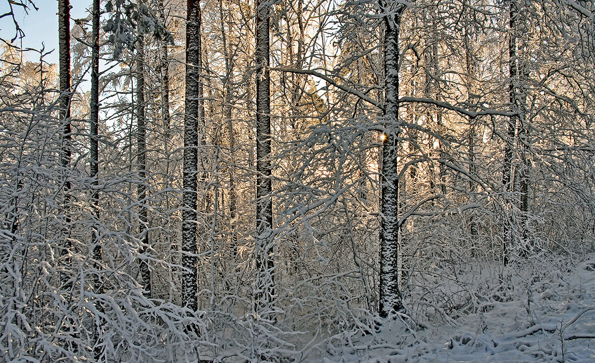 И, как пройти? - Alexandеr P
