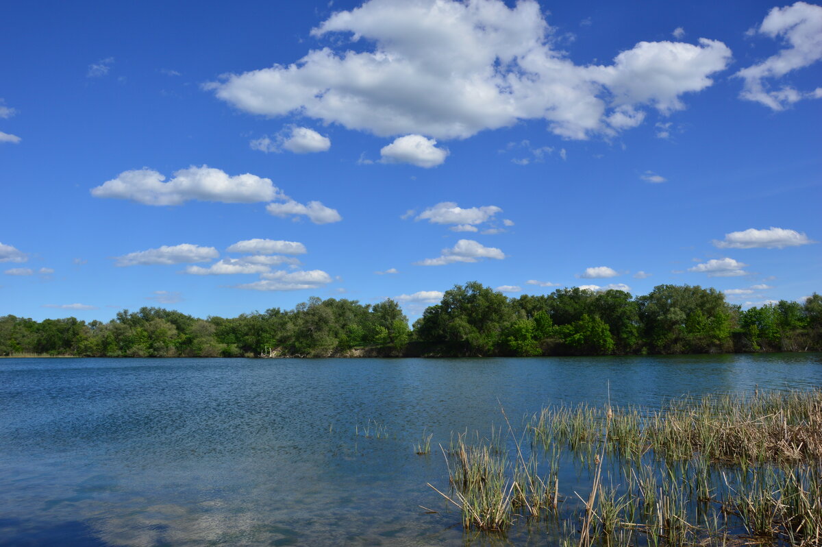 Местная река. - Виктор 