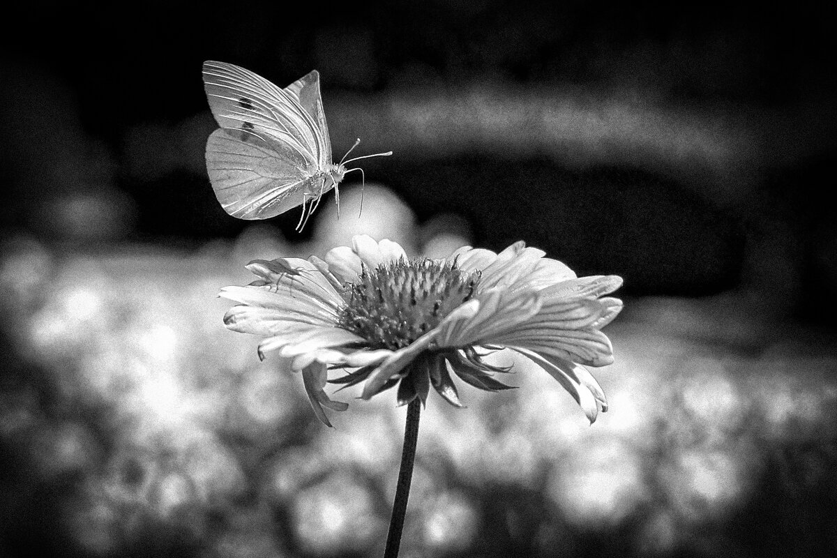 Иду на посадку ;-) - Алексей Пышненко Иду на посадку ;-) - Алексей Пышненко