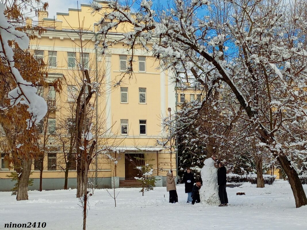 Зима в Ростове-на-Дону - Нина Бутко