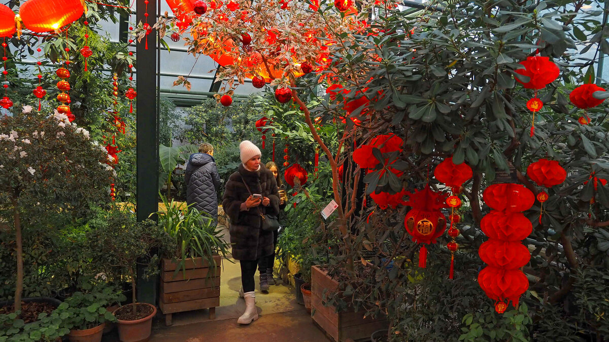 Зарисовка из Аптекарьского Огорода - юрий поляков