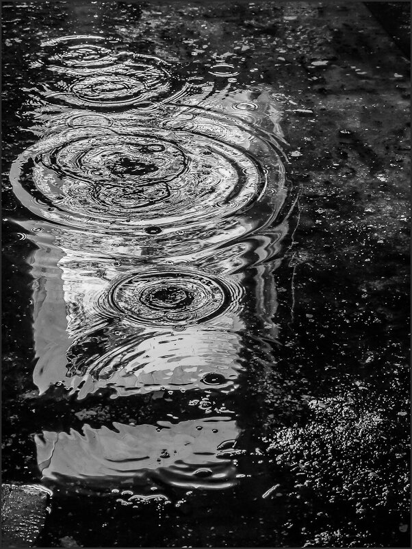 Лужа... - Наталья Rosenwasser