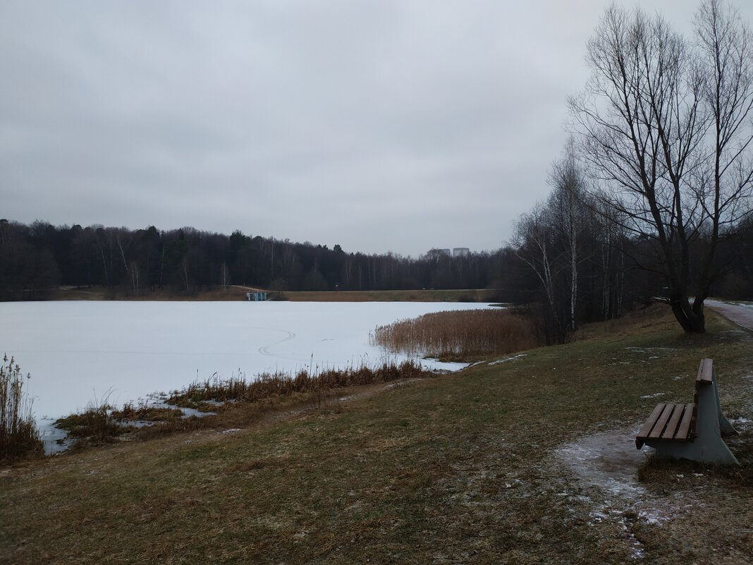Зимы ждала, ждала природа, ... - Андрей Лукьянов Зимы ждала, ждала природа, ... - Андрей Лукьянов