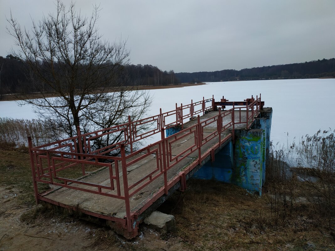Зимы ждала, ждала природа, ... - Андрей Лукьянов Зимы ждала, ждала природа, ... - Андрей Лукьянов