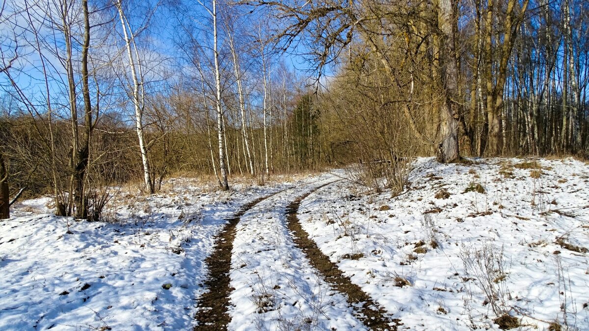 На берегу Днепра (репортаж из поездок по области). - Милешкин Владимир Алексеевич На берегу Днепра (репортаж из поездок по области). - Милешкин Владимир Алексеевич