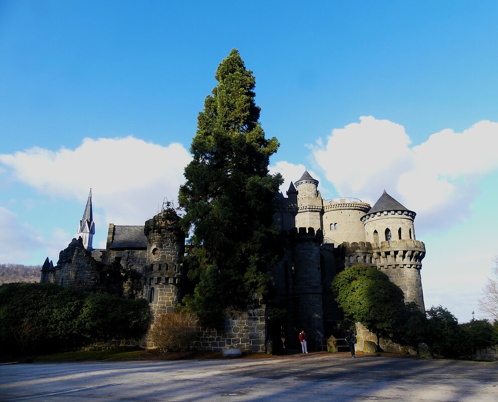 Парк Вильгельма(серия) - Владимир Манкер