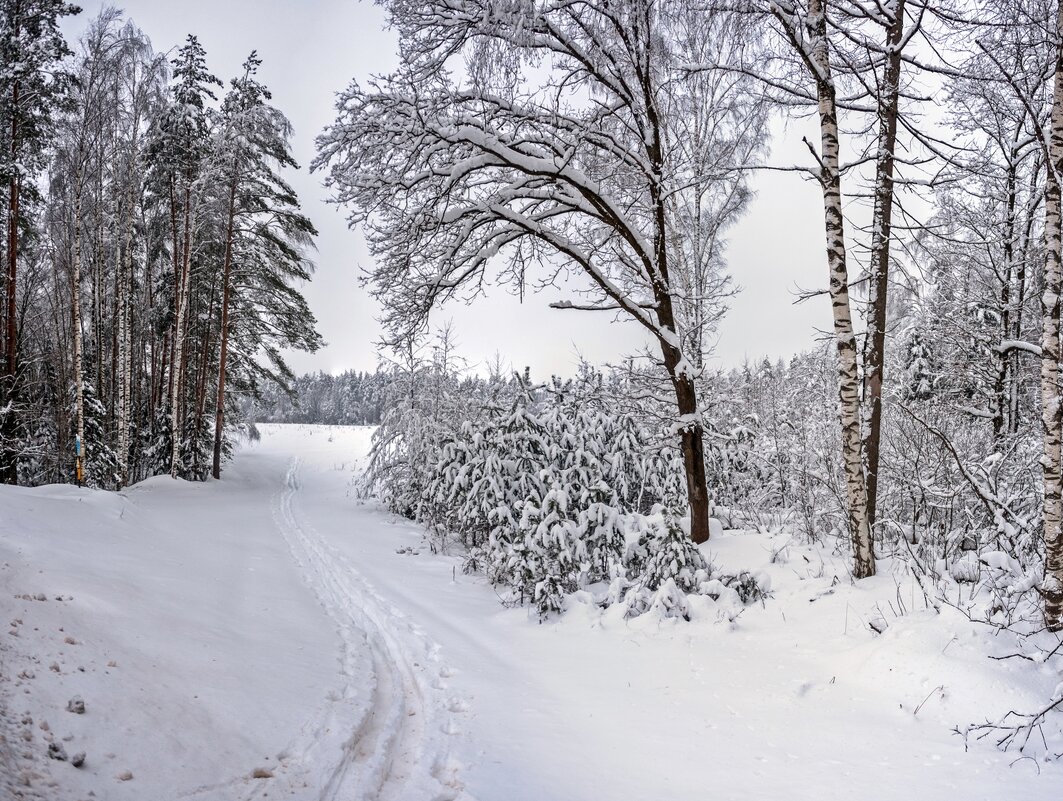 Февраль - Валерий Иванович Февраль - Валерий Иванович
