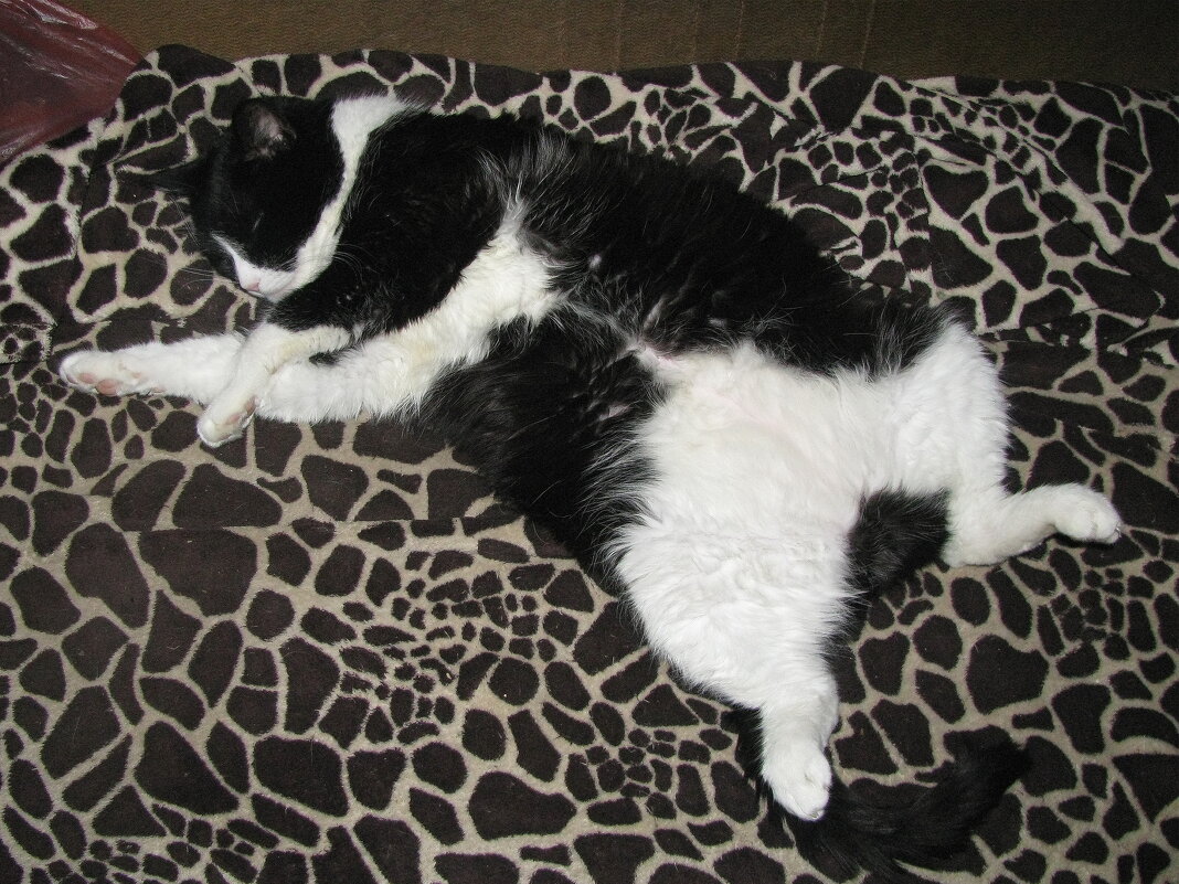 В любимой позе - Людмила Смородинская В любимой позе - Людмила Смородинская