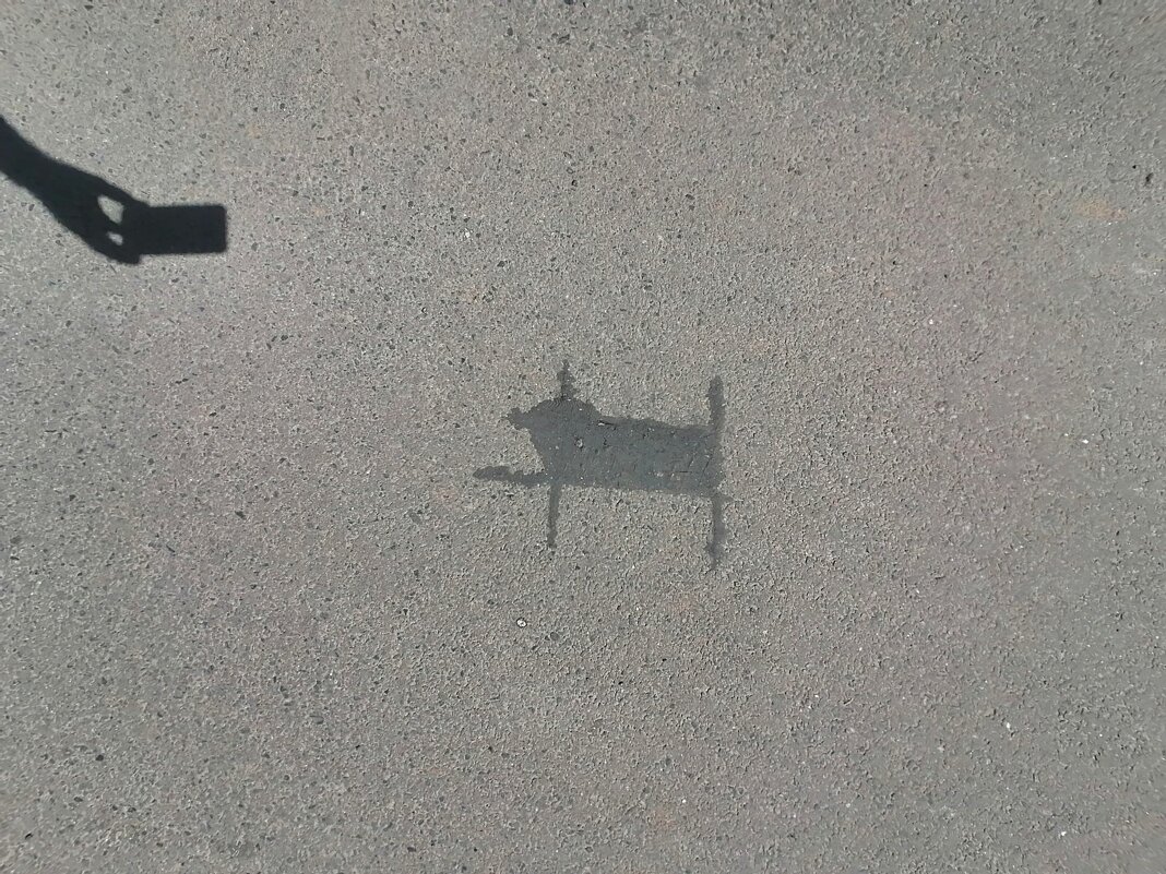 УЗРЕВШИЙ ТЕНЬ - Юрий Вовк