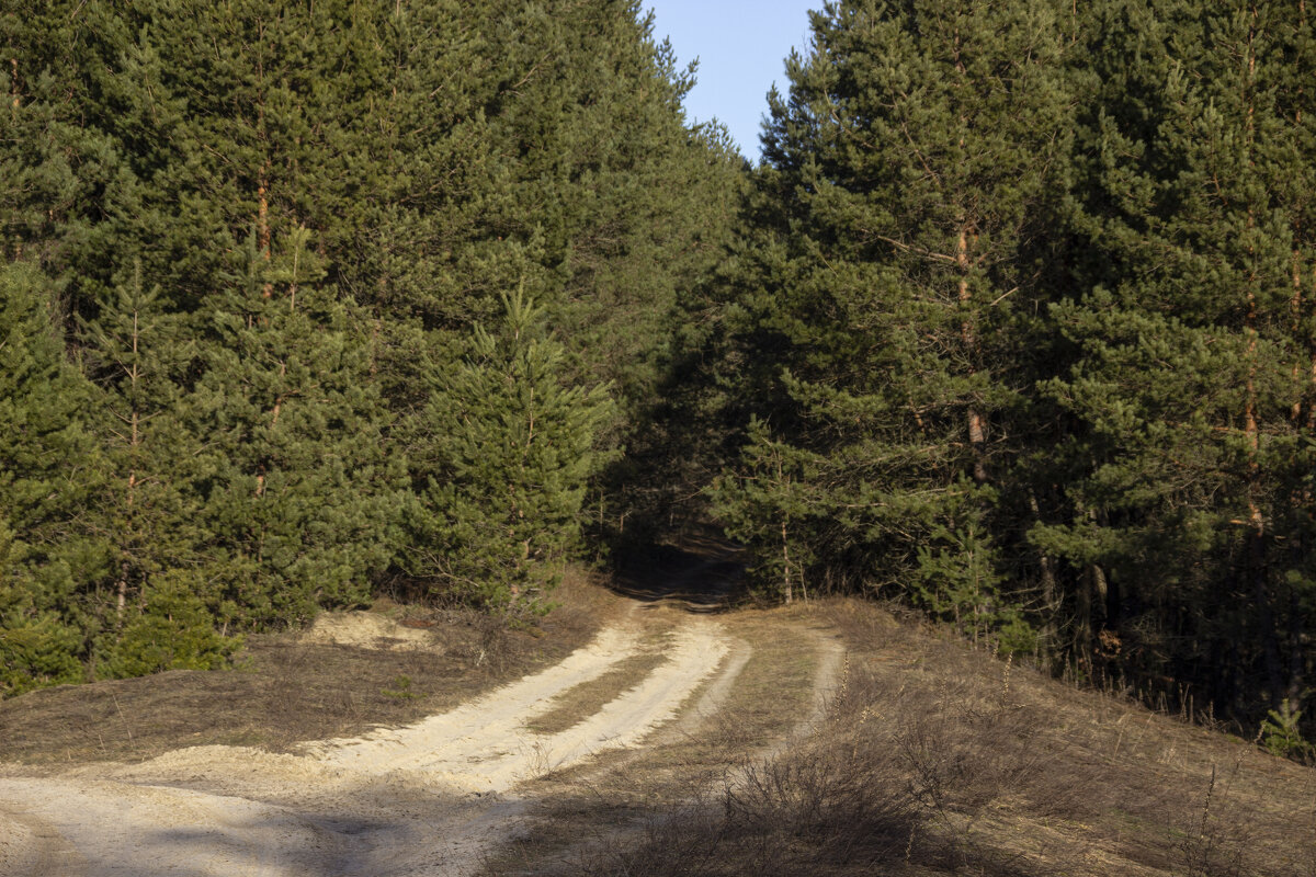 .. - оксана .. - оксана