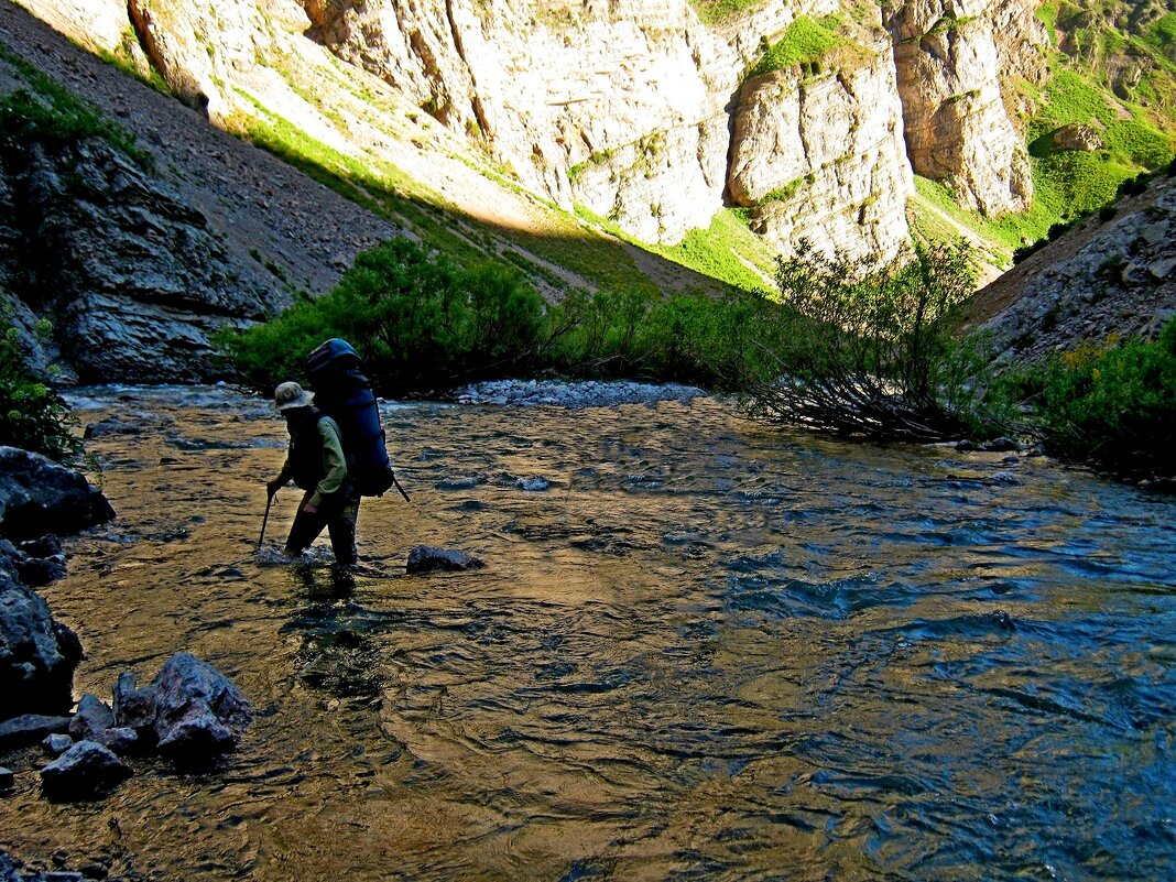 ГОРНАЯ ПРОГУЛКА. - Виктор Осипчук