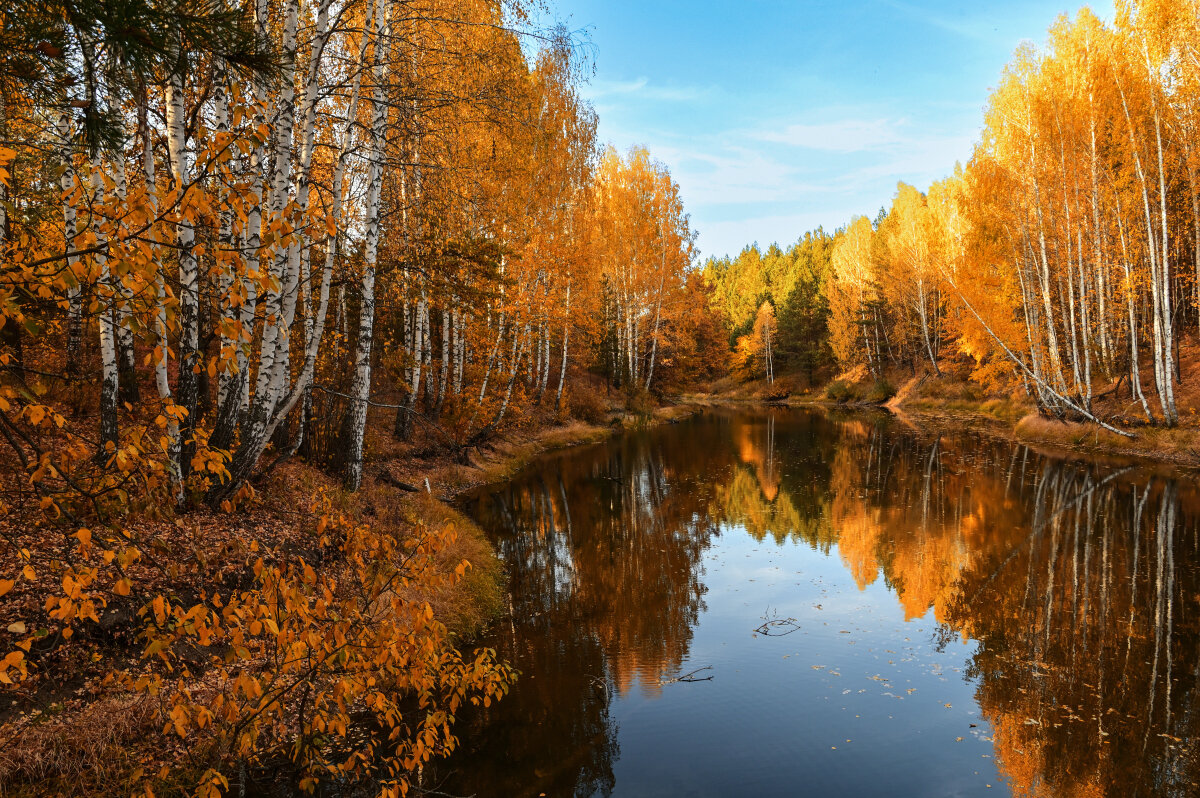 Золото осени - Василий Колобзаров Золото осени - Василий Колобзаров
