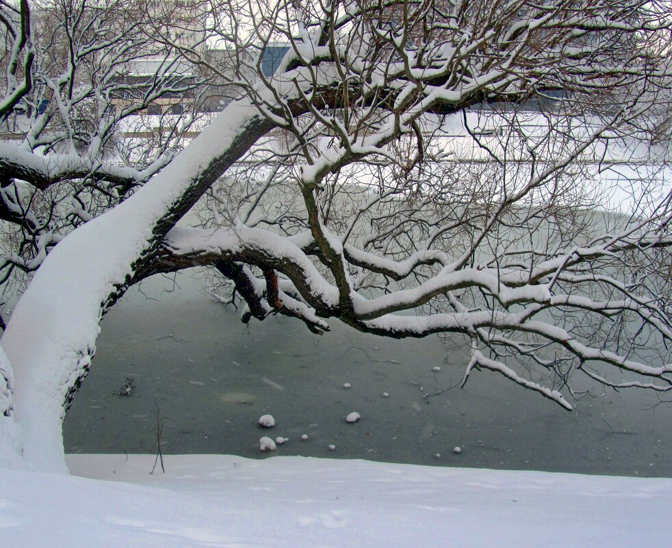 Над озером склонилось - Сергей Карачин Над озером склонилось - Сергей Карачин
