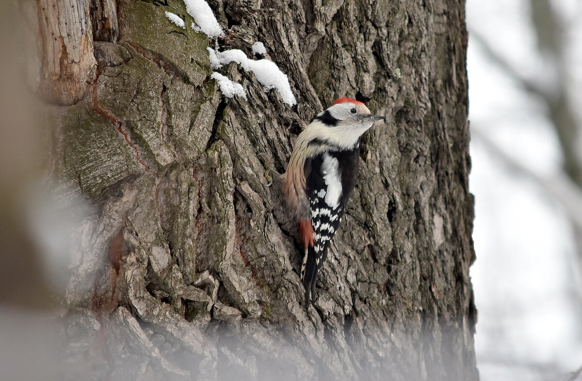 Красавчик.. - Алексей .