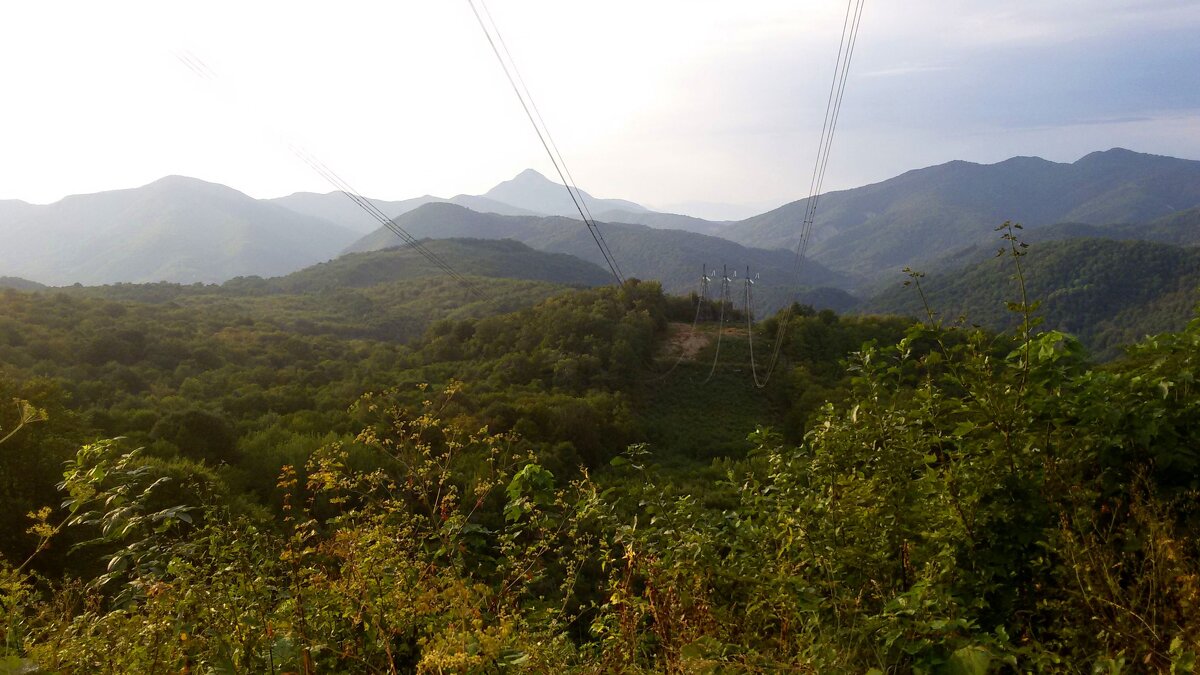 *** - Андрей Л. В.