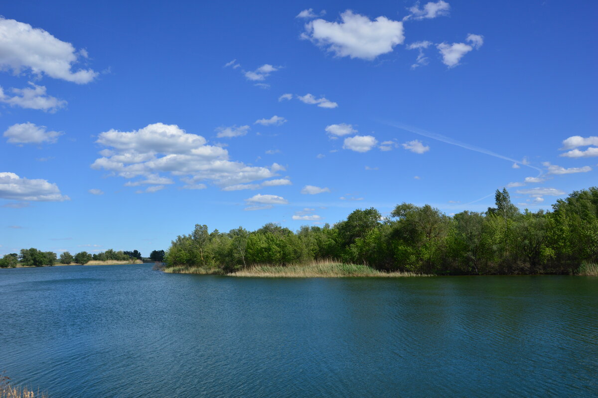 У Дона. - Виктор 