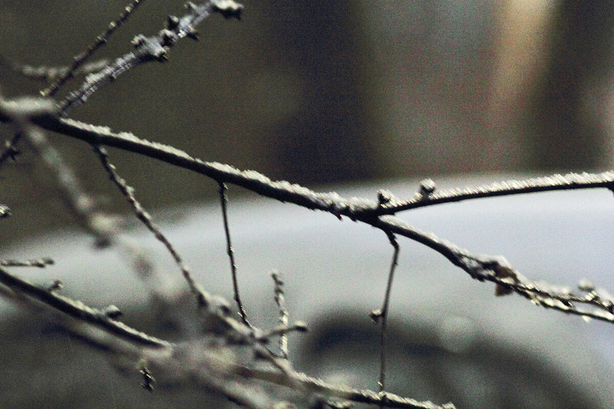Ночной снимок - Юрий Гайворонскiий Ночной снимок - Юрий Гайворонскiий