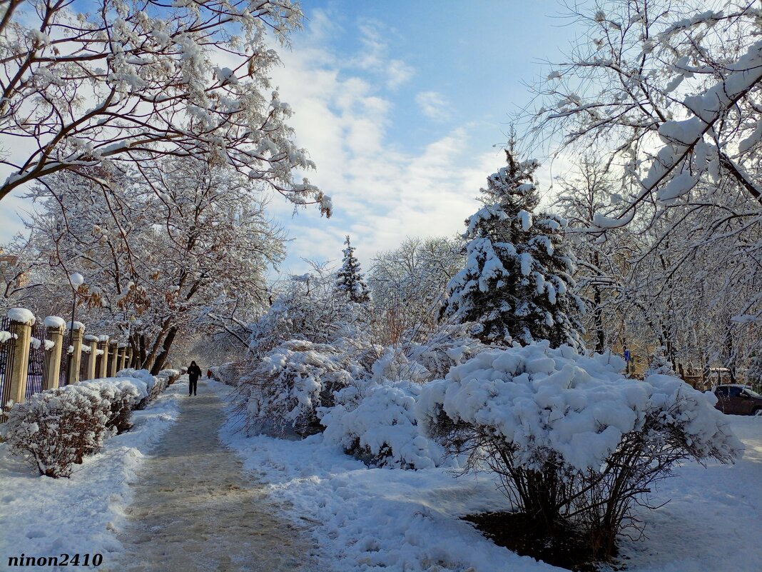 Зима в Ростове-на-Дону - Нина Бутко Зима в Ростове-на-Дону - Нина Бутко