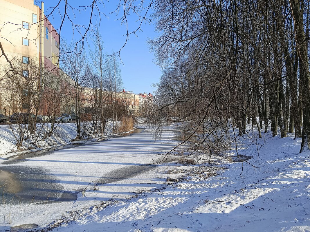 Февральские зарисовки... - Мария Васильева