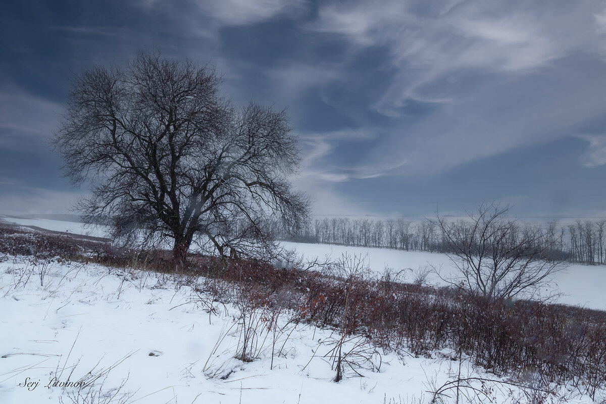зимние зарисовки ... - Сергей Литвинов