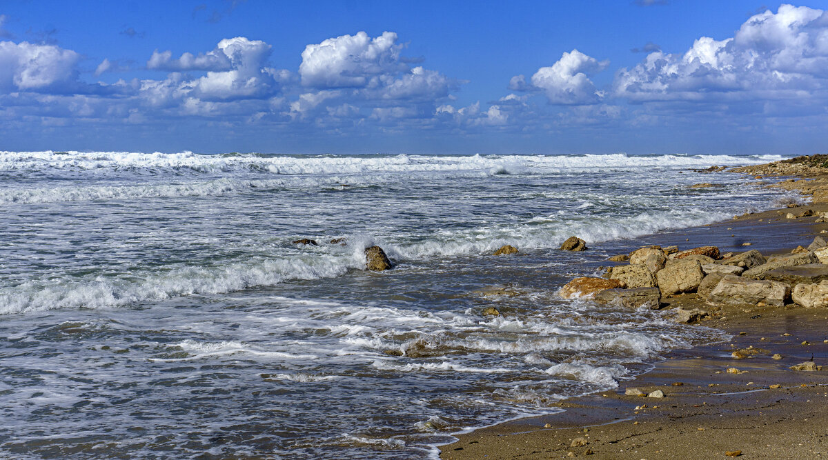 Штормит сегодня... - Эмиль Штормит сегодня... - Эмиль