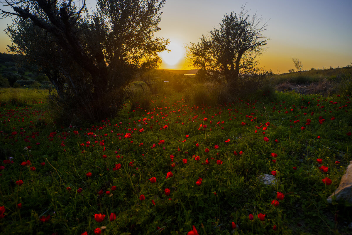 * - Осень * - Осень