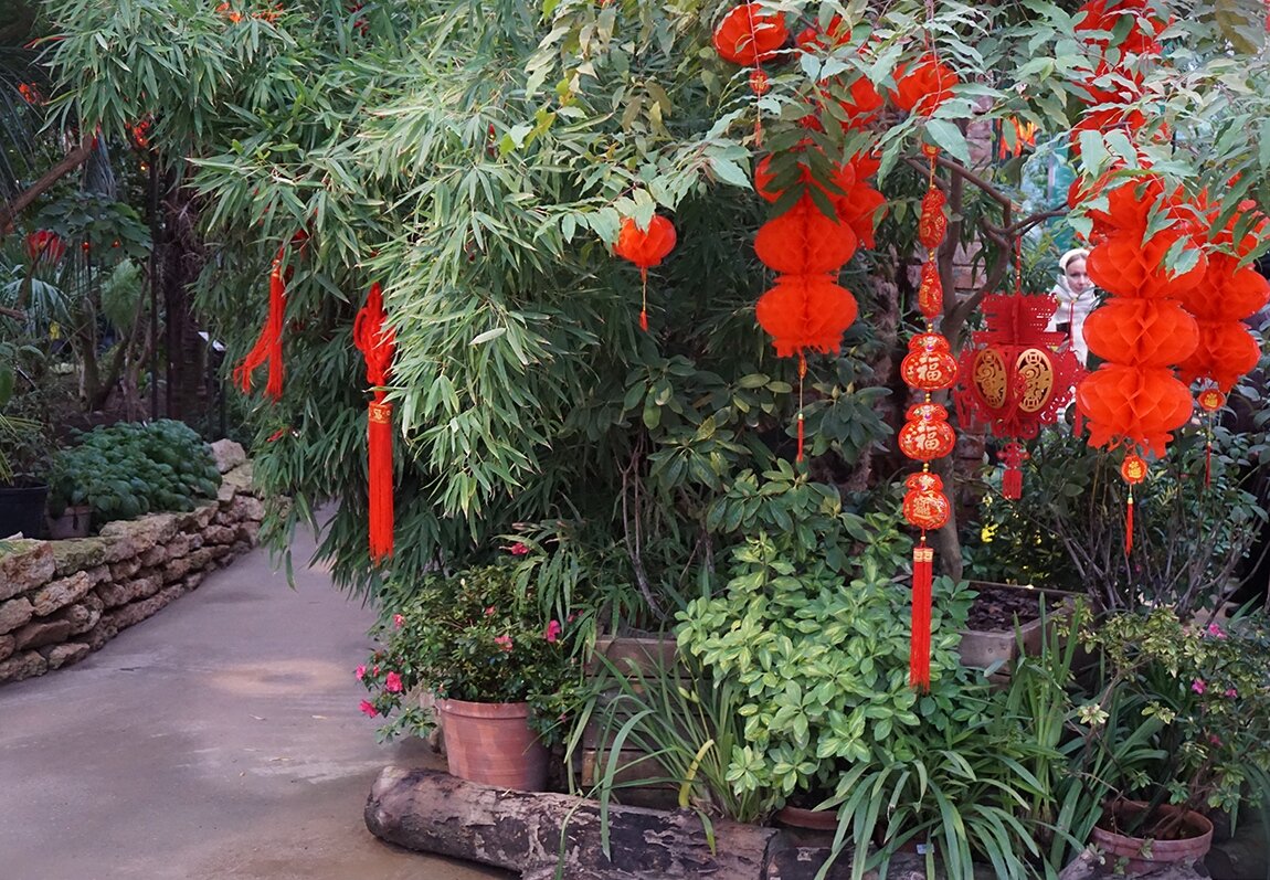 Китайский Новый год в Аптекарском огороде - Ольга 