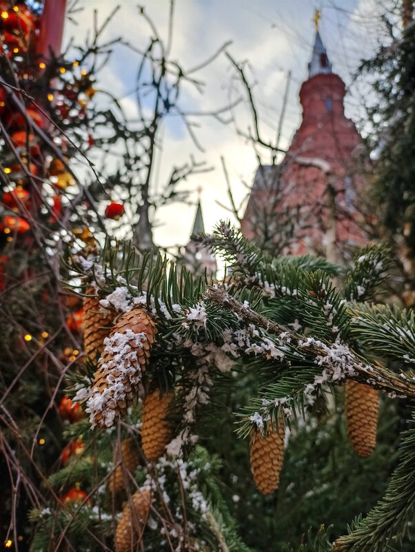 Китайский Новый Год в Москве - Pippa Китайский Новый Год в Москве - Pippa