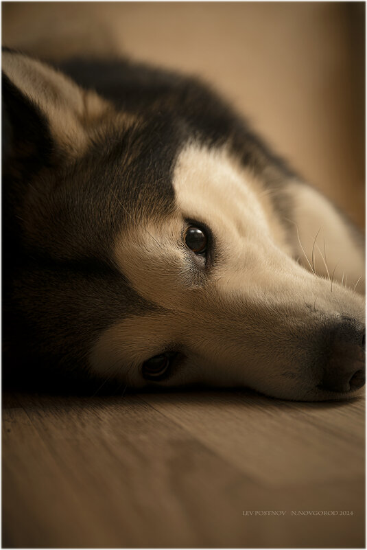 Ярик. - leff Postnov